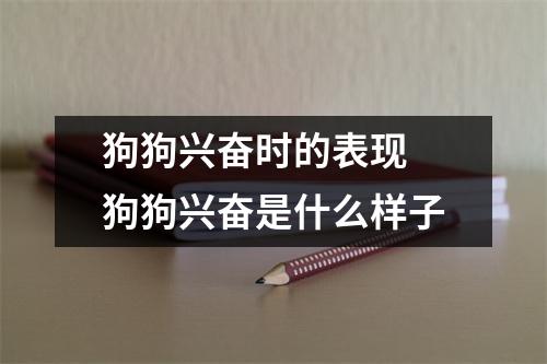 狗狗兴奋时的表现 狗狗兴奋是什么样子 狗狗兴奋时的表现 狗狗兴奋是什么样子