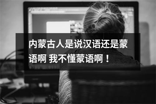 内蒙古人是说汉语还是蒙语啊 我不懂蒙语啊 ！