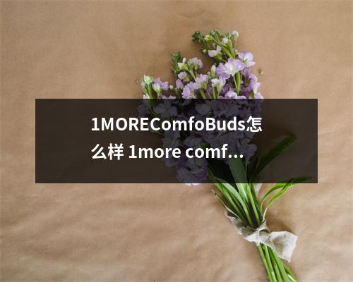 1MOREComfoBuds怎么样 1more comfobuds