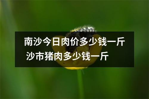 南沙今日肉价多少钱一斤 沙市猪肉多少钱一斤 南沙今日肉价多少钱一斤 沙市猪肉多少钱一斤