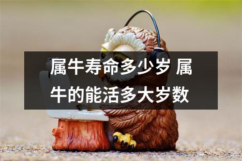 属牛寿命多少岁 属牛的能活多大岁数