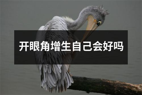 开眼角增生自己会好吗