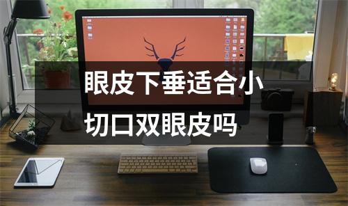 眼皮下垂适合小切口双眼皮吗