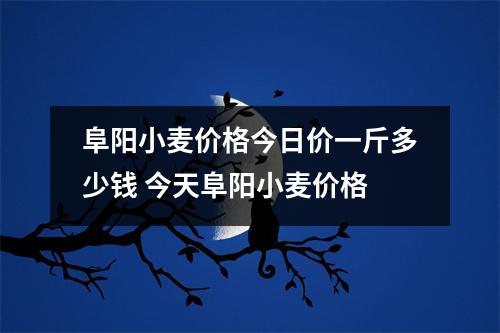 阜阳小麦价格今日价一斤多少钱 今天阜阳小麦价格