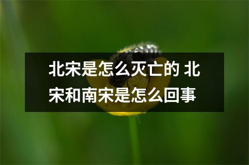 北宋是怎么灭亡的 北宋和南宋是怎么回事