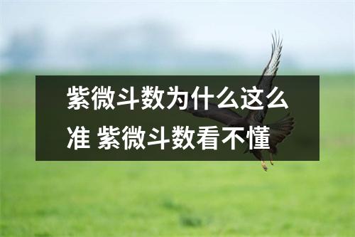 紫微斗数为什么这么准 紫微斗数看不懂