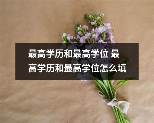 最高学历和最高学位 最高学历和最高学位怎么填
