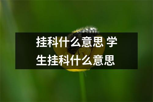 挂科什么意思 学生挂科什么意思 挂科什么意思 学生挂科什么意思