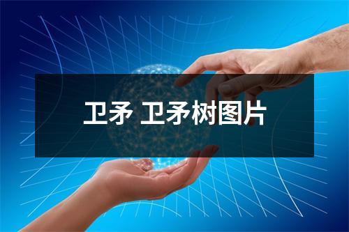 卫矛 卫矛树图片