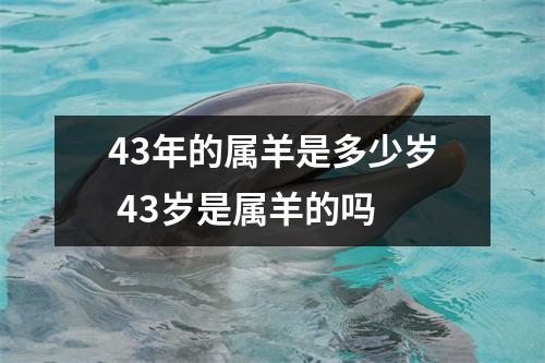 43年的属羊是多少岁 43岁是属羊的吗