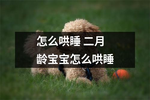 怎么哄睡 二月龄宝宝怎么哄睡