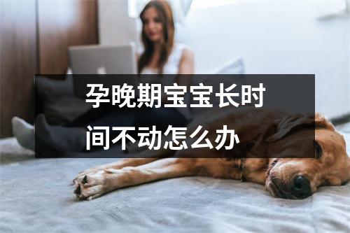 孕晚期宝宝长时间不动怎么办