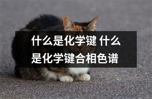 什么是化学键 什么是化学键合相色谱