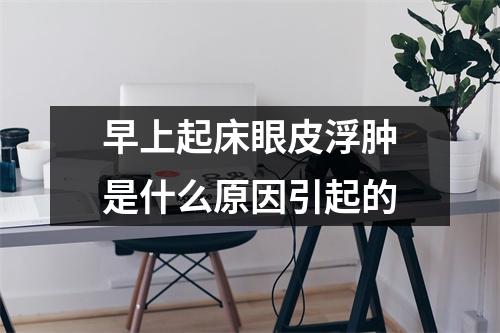 早上起床眼皮浮肿是什么原因引起的