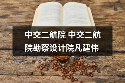 中交二航院 中交二航院勘察设计院凡建伟