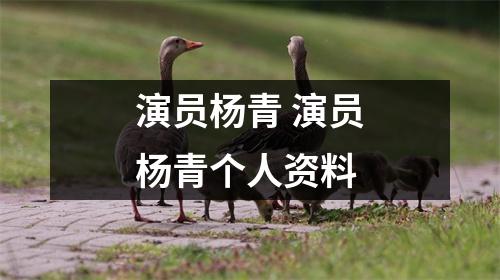 演员杨青 演员杨青个人资料