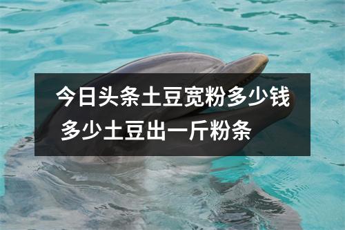 今日头条土豆宽粉多少钱 多少土豆出一斤粉条