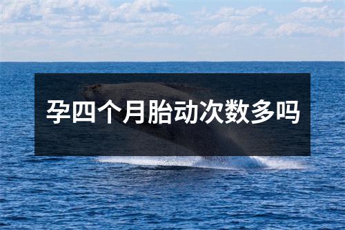 孕四个月胎动次数多吗