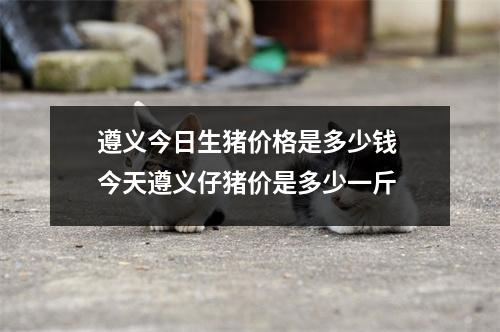 遵义今日生猪价格是多少钱 今天遵义仔猪价是多少一斤