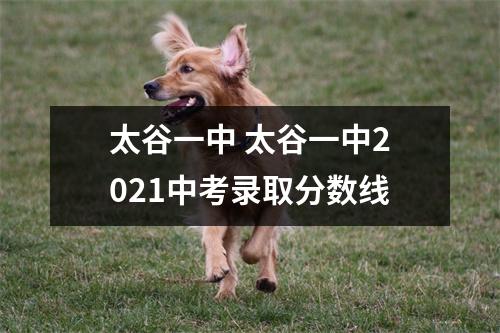 太谷一中 太谷一中2021中考录取分数线