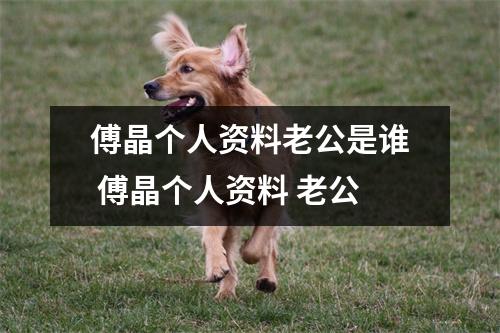 傅晶个人资料老公是谁 傅晶个人资料 老公