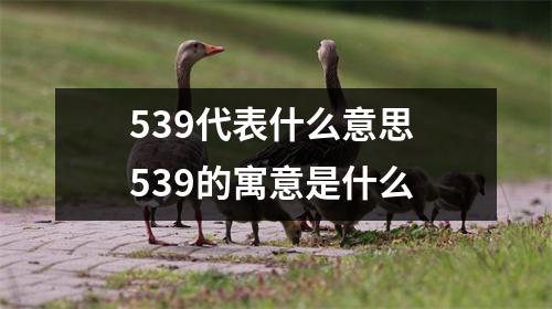 539代表什么意思 539的寓意是什么