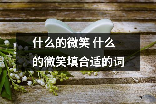 什么的微笑 什么的微笑填合适的词