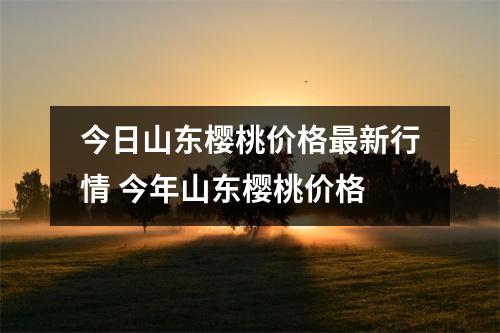 今日山东樱桃价格最新行情 今年山东樱桃价格 今日山东樱桃价格最新行情 今年山东樱桃价格