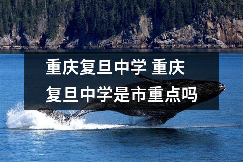 重庆复旦中学 重庆复旦中学是市重点吗