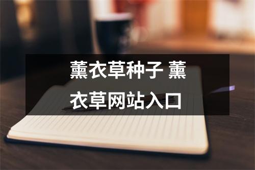 薰衣草种子 薰衣草网站入口