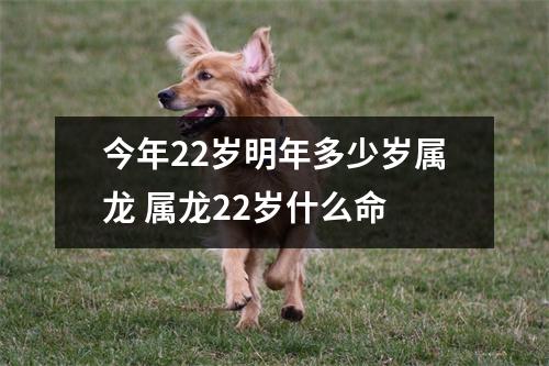 今年22岁明年多少岁属龙 属龙22岁什么命