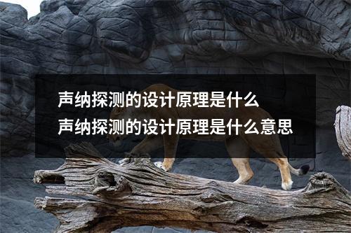 声纳探测的设计原理是什么 声纳探测的设计原理是什么意思 声纳探测的设计原理是什么 声纳探测的设计原理是什么意思