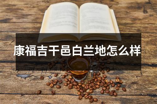 康福吉干邑白兰地怎么样