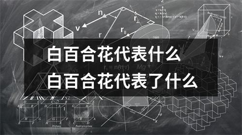 白百合花代表什么 白百合花代表了什么