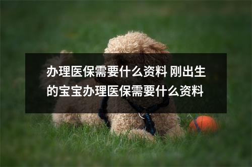 办理医保需要什么资料 刚出生的宝宝办理医保需要什么资料