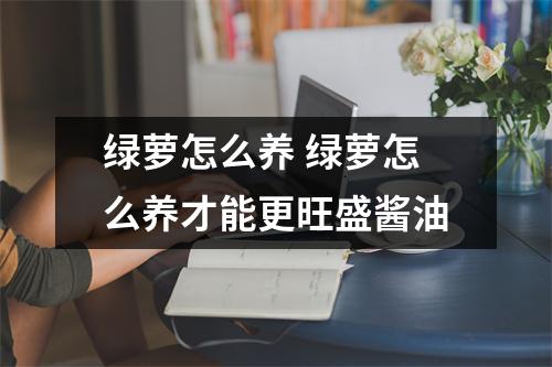 绿萝怎么养 绿萝怎么养才能更旺盛酱油