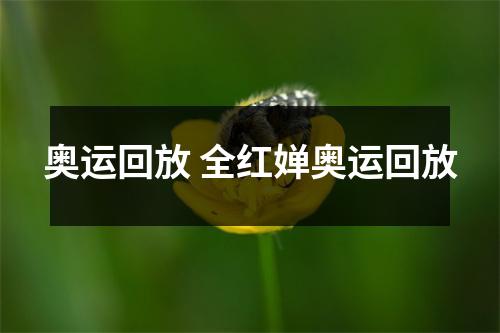 奥运回放 全红婵奥运回放