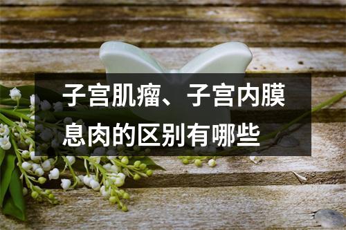 子宫肌瘤、子宫内膜息肉的区别有哪些