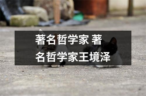 著名哲学家 著名哲学家王境泽