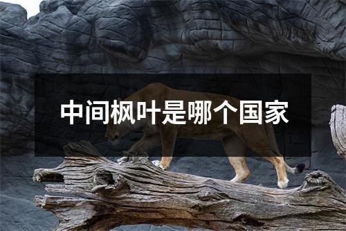 中间枫叶是哪个国家