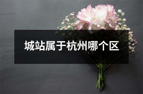 城站属于杭州哪个区