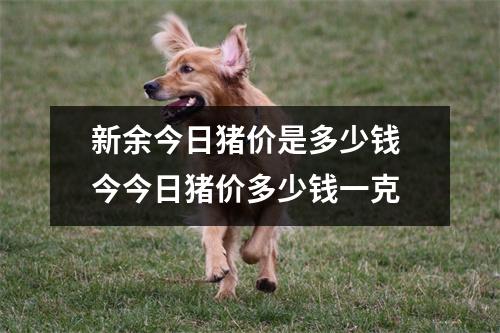 新余今日猪价是多少钱 今今日猪价多少钱一克