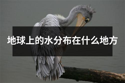 地球上的水分布在什么地方