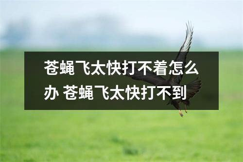 苍蝇飞太快打不着怎么办 苍蝇飞太快打不到