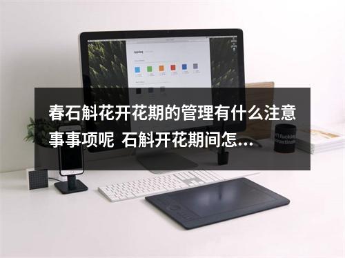 春石斛花开花期的管理有什么注意事事项呢  石斛开花期间怎么管理