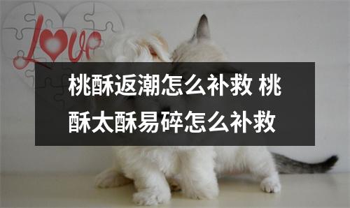 桃酥返潮怎么补救 桃酥太酥易碎怎么补救