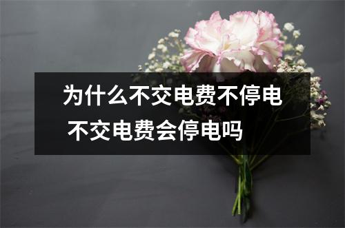 为什么不交电费不停电 不交电费会停电吗