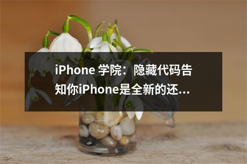iPhone 学院：隐藏代码告知你iPhone是全新的还是翻新的