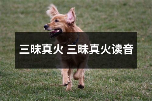 三昧真火 三昧真火读音