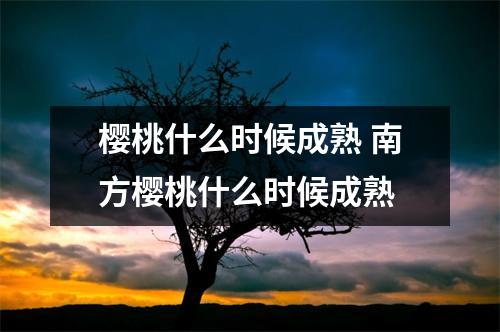 樱桃什么时候成熟 南方樱桃什么时候成熟